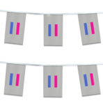 AGAS Androgynous Pride Streamers for Party 60 Ft long