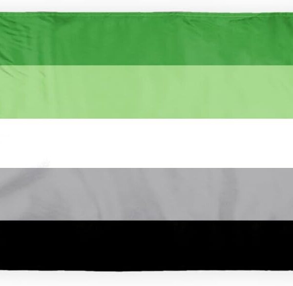 AGAS Aromantic Pride Motorcycle Flag 6x9 inch