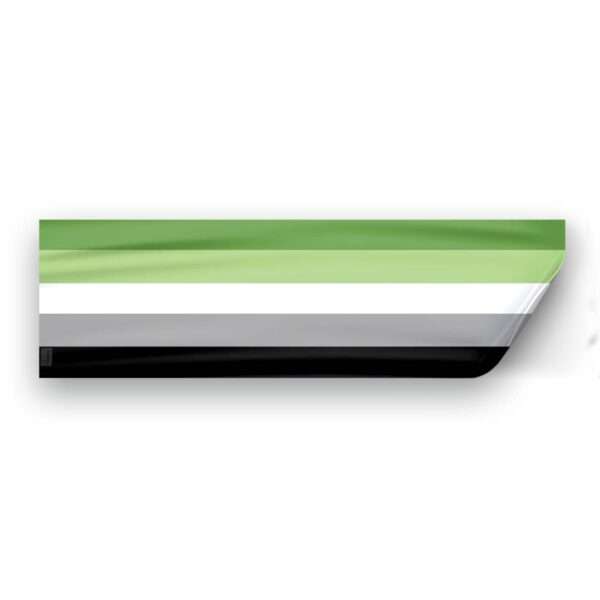 AGAS Aromantic Pride Flag Static Cling Decal 6 Stripes
