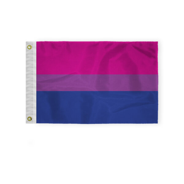 AGAS Bi Pride Boat Nautical Flag 12x18 Inch