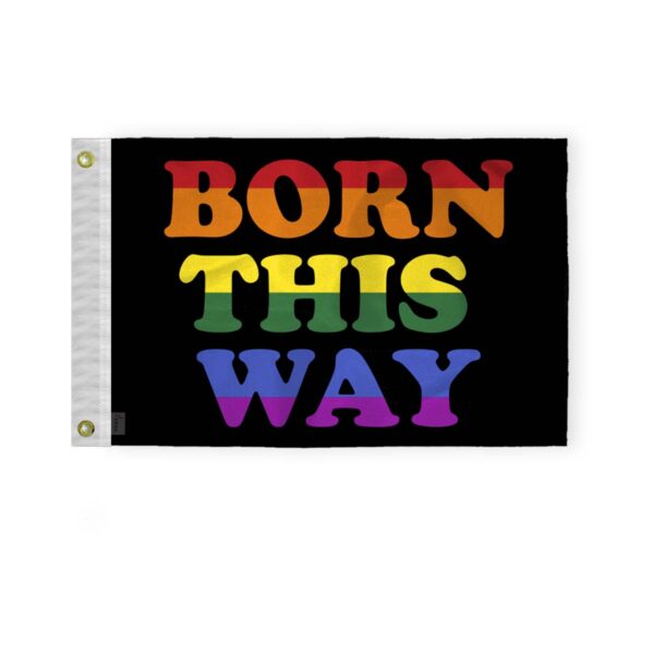 AGAS Born This Way Pride Boat Nautical Flag 12x18 Inch