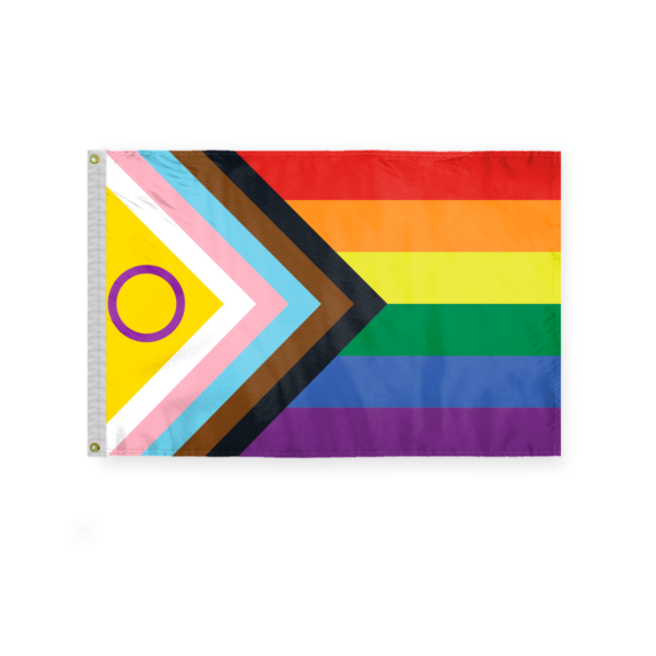 AGAS Mfg 2' x 3' Intersex Flag 6 Stripes