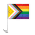 12" x 16" Intersex Economy Car Flag