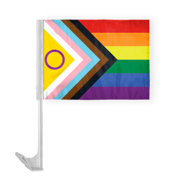 AGAS Flags 12" x 16" Intersex Economy Car Flag