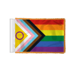 4"x6" Intersex Antenna Flag
