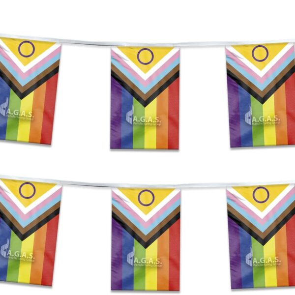 AGAS Flags 60 ' Rectangle Intersex Streamer 6 Stripes