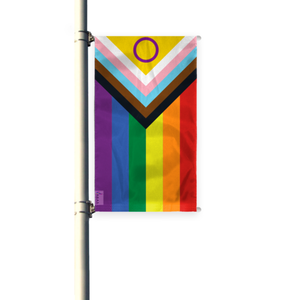 AGAS Flags 3' x 8' Intersex Light Post Banner