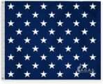 AGAS US Navy Union Jack Flag 40 x 48 Inch - Printed 200D Nylon