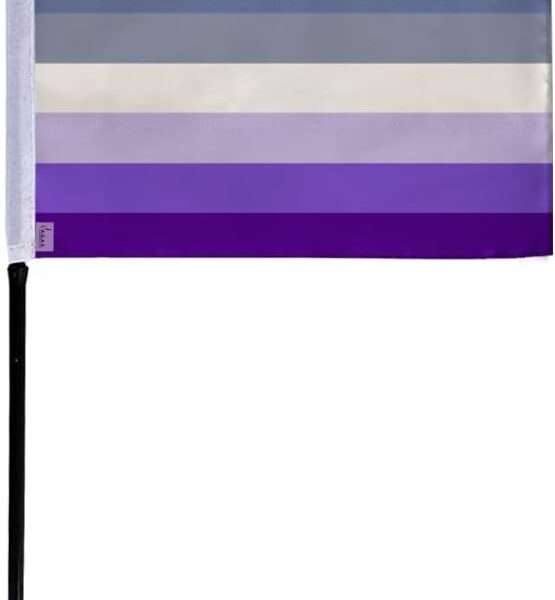 AGAS Small Butch Lesbian Pride Flag 4x6 inch Flag on a 11 inch Plastic Stick