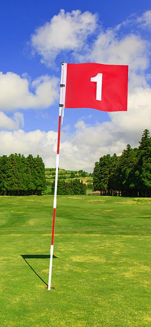 Golf Flags